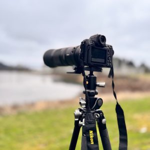 Introduction to Photography 2